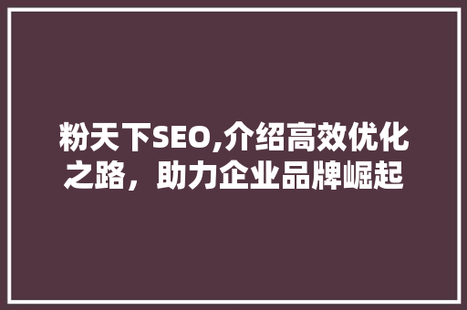 粉天下SEO,介绍高效优化之路，助力企业品牌崛起
