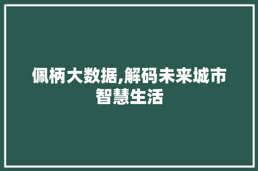 佩柄大数据,解码未来城市智慧生活 后端技术