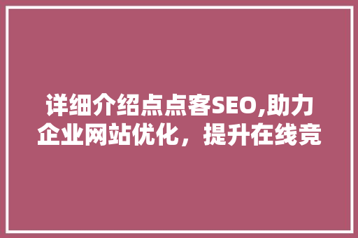 详细介绍点点客SEO,助力企业网站优化，提升在线竞争力