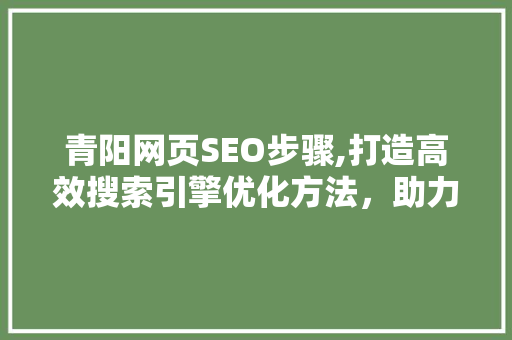 青阳网页SEO步骤,打造高效搜索引擎优化方法，助力企业腾飞