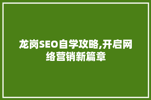 龙岗SEO自学攻略,开启网络营销新篇章