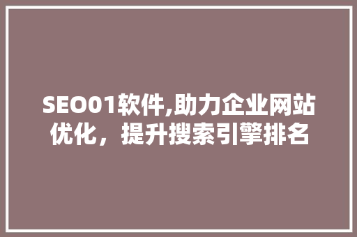 SEO01软件,助力企业网站优化，提升搜索引擎排名