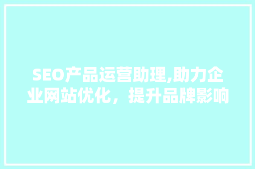 SEO产品运营助理,助力企业网站优化，提升品牌影响力