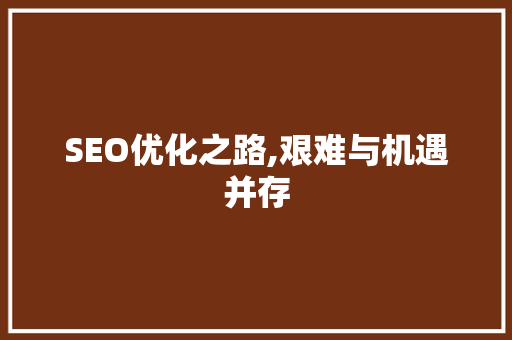 SEO优化之路,艰难与机遇并存