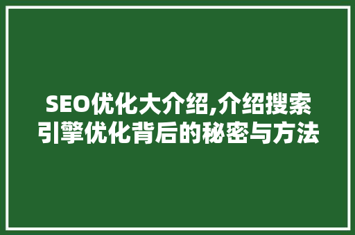 SEO优化大介绍,介绍搜索引擎优化背后的秘密与方法