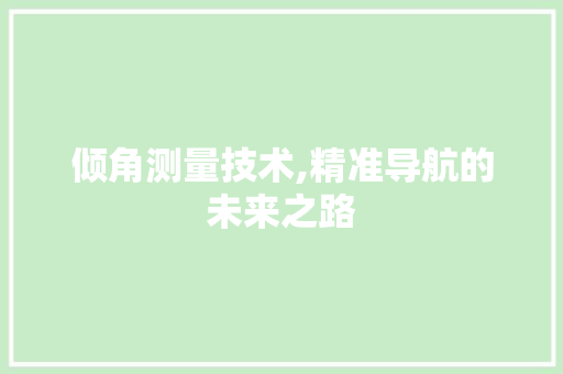 倾角测量技术,精准导航的未来之路