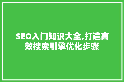 SEO入门知识大全,打造高效搜索引擎优化步骤