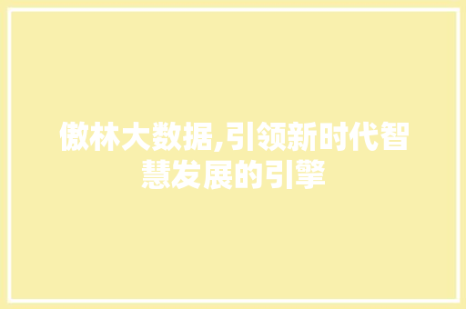 傲林大数据,引领新时代智慧发展的引擎