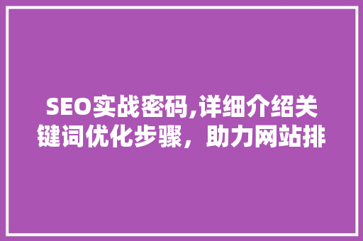 SEO实战密码,详细介绍关键词优化步骤，助力网站排名提升