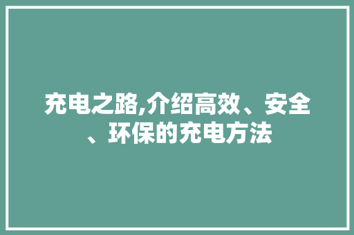 充电之路,介绍高效、安全、环保的充电方法