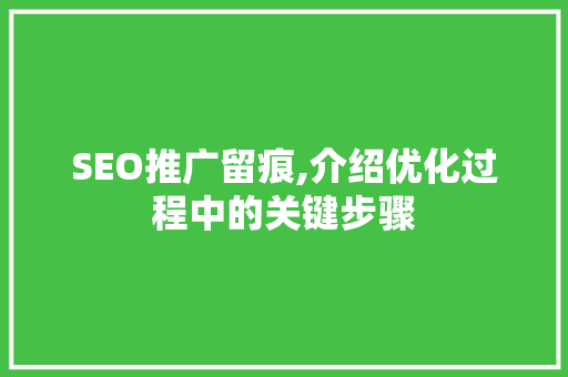 SEO推广留痕,介绍优化过程中的关键步骤