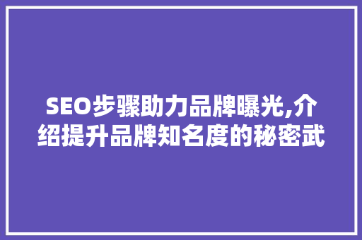 SEO步骤助力品牌曝光,介绍提升品牌知名度的秘密武器