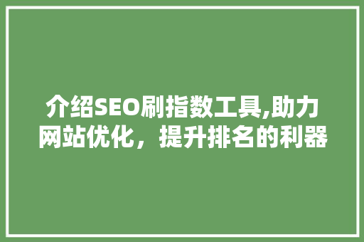 介绍SEO刷指数工具,助力网站优化，提升排名的利器