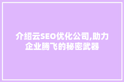 介绍云SEO优化公司,助力企业腾飞的秘密武器