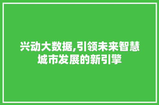 兴动大数据,引领未来智慧城市发展的新引擎 响应式设计