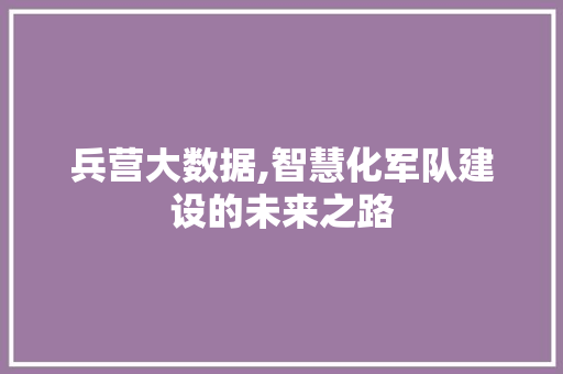 兵营大数据,智慧化军队建设的未来之路