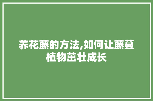 养花藤的方法,如何让藤蔓植物茁壮成长