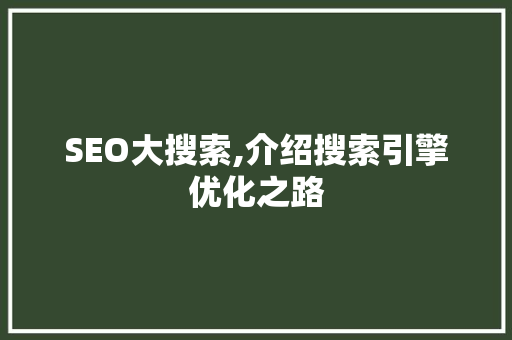 SEO大搜索,介绍搜索引擎优化之路