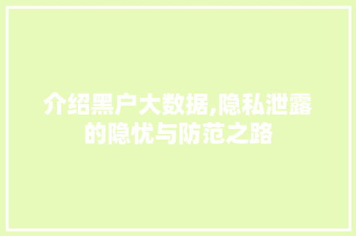 介绍黑户大数据,隐私泄露的隐忧与防范之路