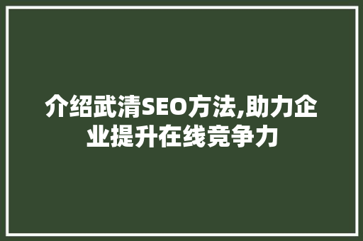 介绍武清SEO方法,助力企业提升在线竞争力