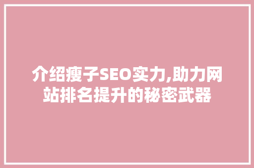 介绍瘦子SEO实力,助力网站排名提升的秘密武器