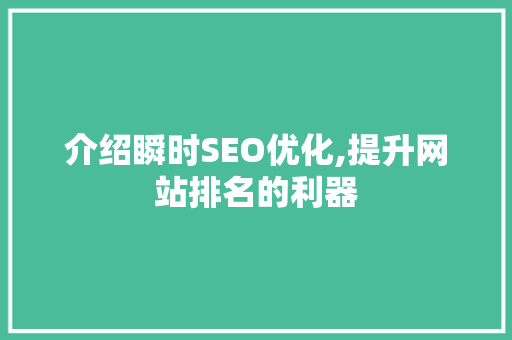介绍瞬时SEO优化,提升网站排名的利器