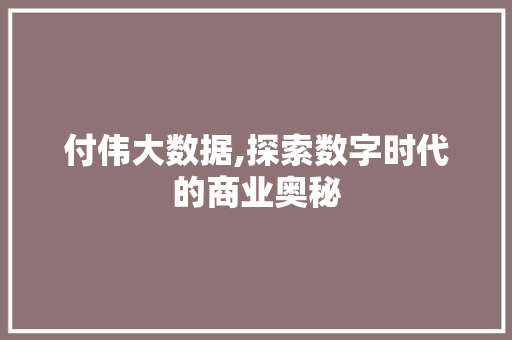 付伟大数据,探索数字时代的商业奥秘
