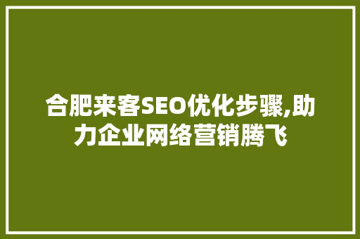 合肥来客SEO优化步骤,助力企业网络营销腾飞