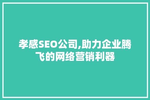孝感SEO公司,助力企业腾飞的网络营销利器