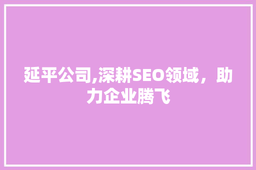 延平公司,深耕SEO领域，助力企业腾飞