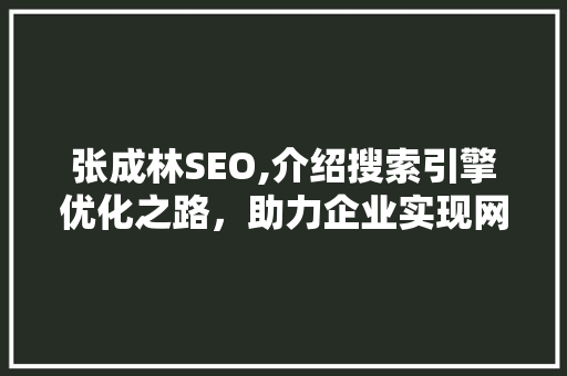 张成林SEO,介绍搜索引擎优化之路，助力企业实现网络营销突破