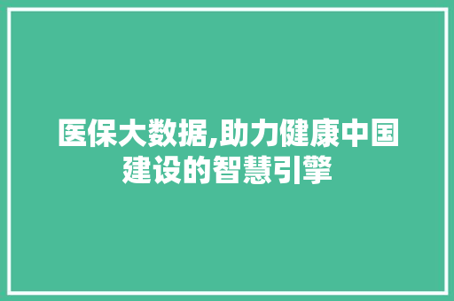 医保大数据,助力健康中国建设的智慧引擎