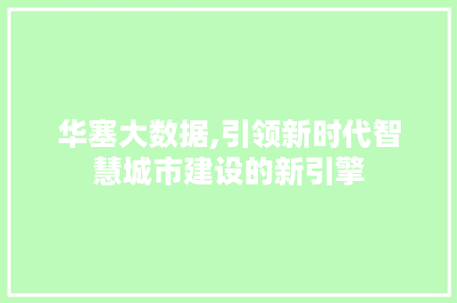 华塞大数据,引领新时代智慧城市建设的新引擎 后端技术