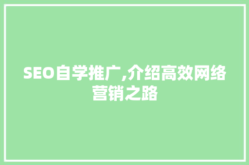 SEO自学推广,介绍高效网络营销之路