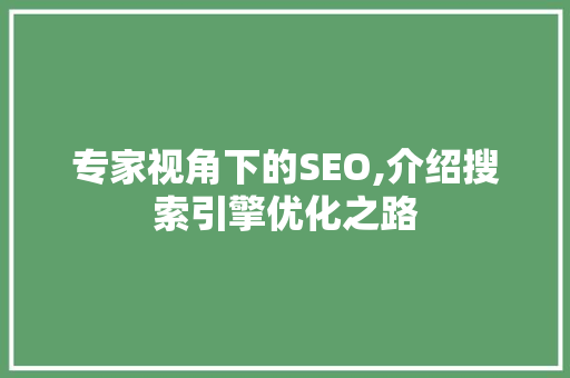 专家视角下的SEO,介绍搜索引擎优化之路