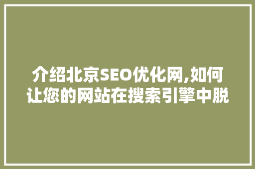 介绍北京SEO优化网,如何让您的网站在搜索引擎中脱颖而出