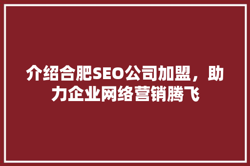 介绍合肥SEO公司加盟，助力企业网络营销腾飞