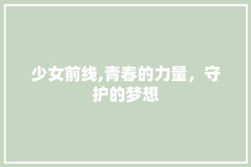 少女前线,青春的力量，守护的梦想 网站建设