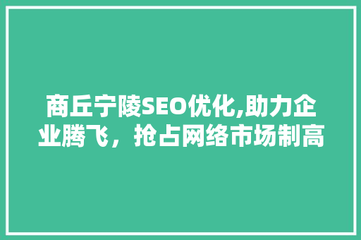 商丘宁陵SEO优化,助力企业腾飞，抢占网络市场制高点