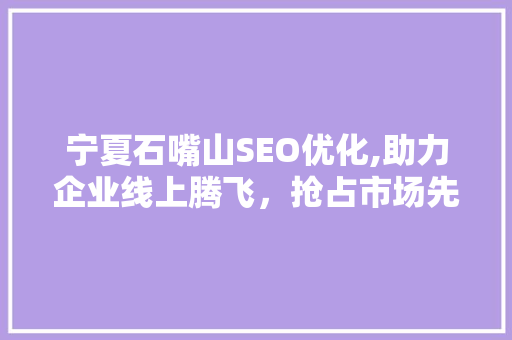 宁夏石嘴山SEO优化,助力企业线上腾飞，抢占市场先机