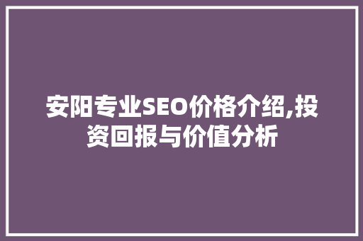 安阳专业SEO价格介绍,投资回报与价值分析