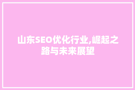 山东SEO优化行业,崛起之路与未来展望