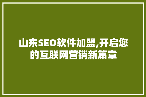 山东SEO软件加盟,开启您的互联网营销新篇章