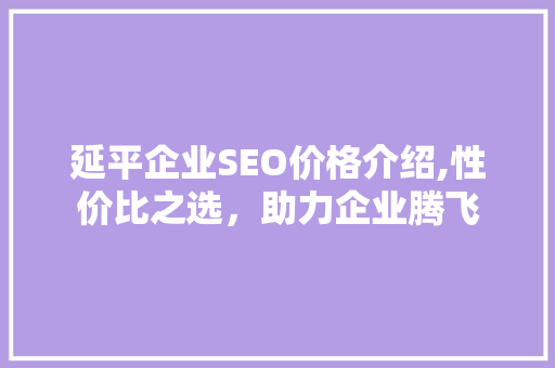 延平企业SEO价格介绍,性价比之选，助力企业腾飞
