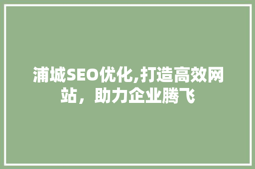 浦城SEO优化,打造高效网站，助力企业腾飞
