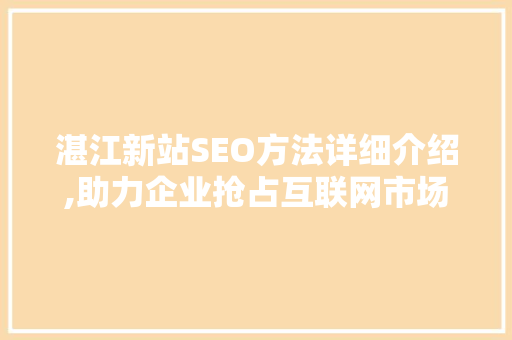 湛江新站SEO方法详细介绍,助力企业抢占互联网市场制高点