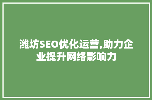 潍坊SEO优化运营,助力企业提升网络影响力