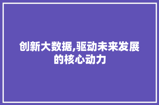 创新大数据,驱动未来发展的核心动力 项目报告