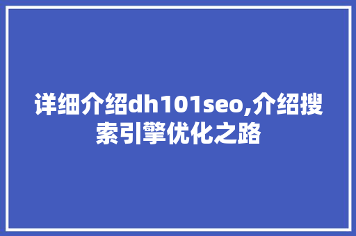 详细介绍dh101seo,介绍搜索引擎优化之路