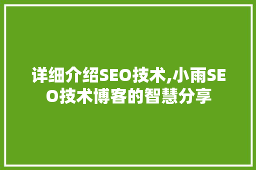 详细介绍SEO技术,小雨SEO技术博客的智慧分享